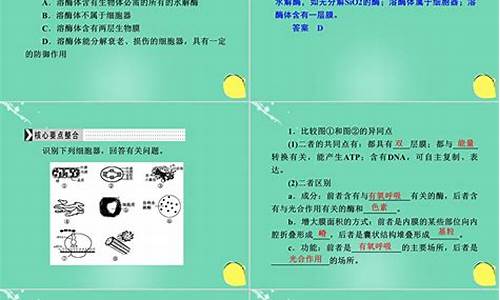 2017高考生物新疆_2020新疆高考生物一模