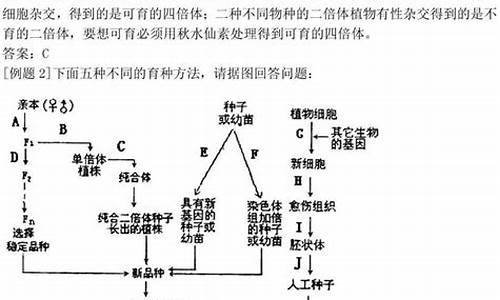 高考题目答案解析,高考题目解析